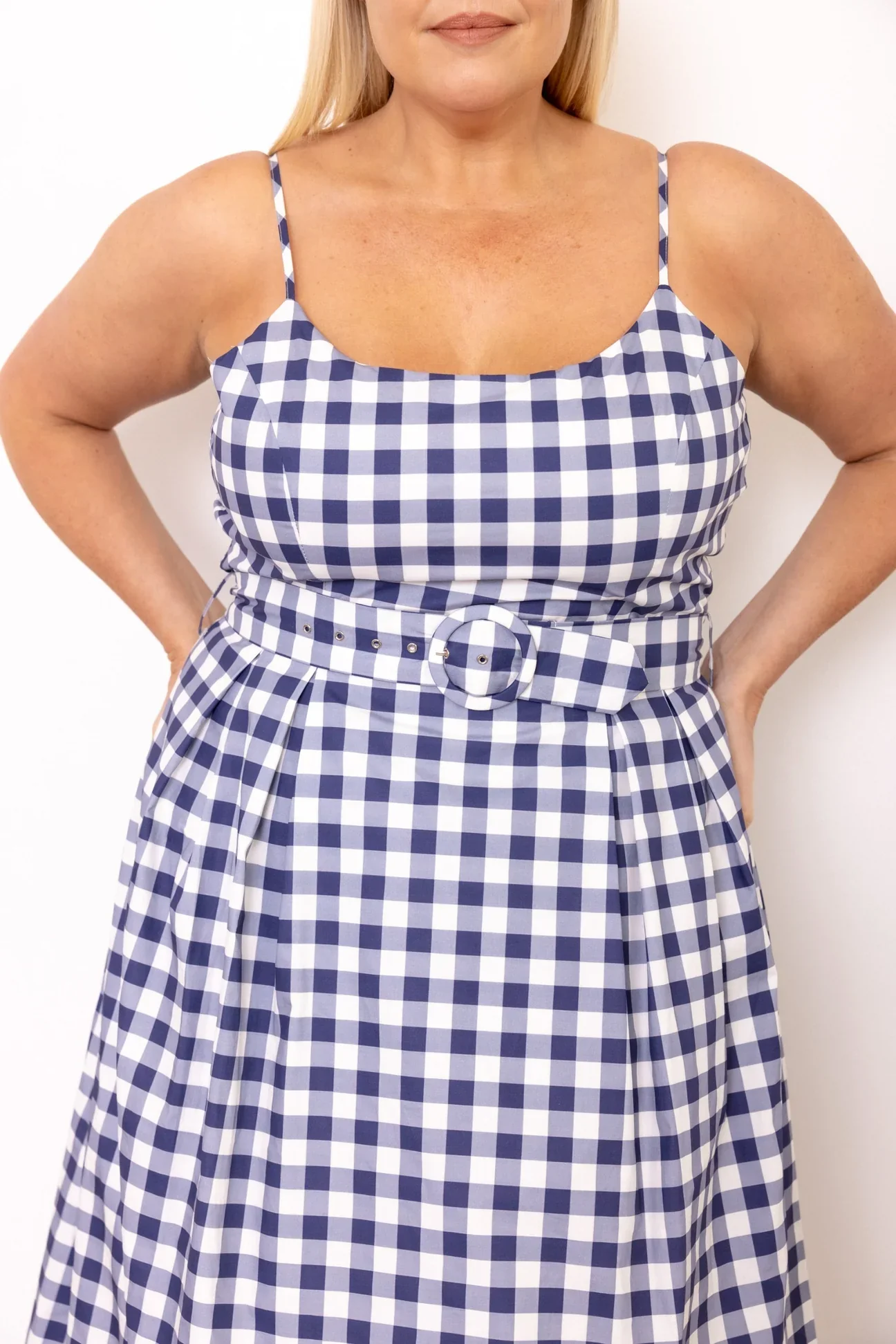 Picnic Navy Check Midi Dress - Image 3